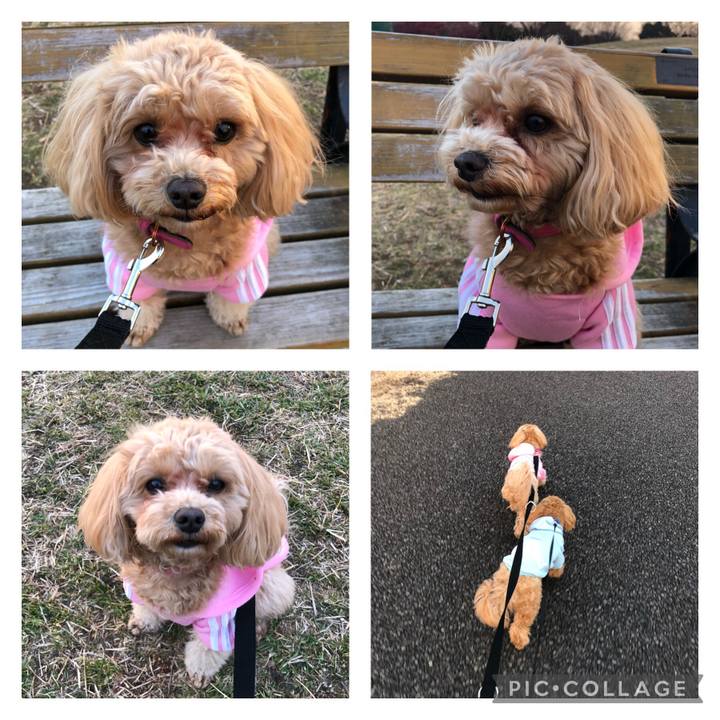 B718b114 9c03 4613 bdb2 fe1068628c42 1612715677309