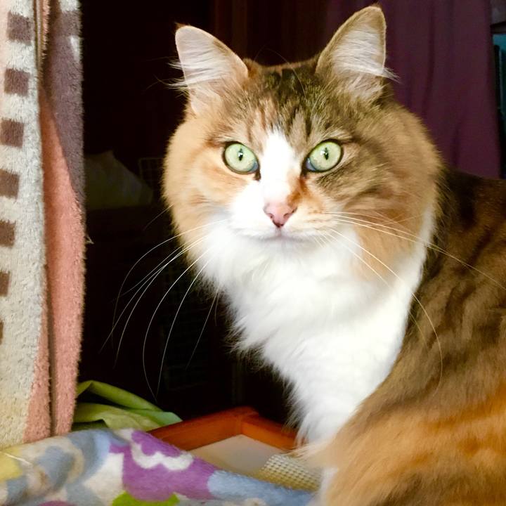 B718cd7e 8aa4 468e 9a1e 43caf287f2f6 1554500311806