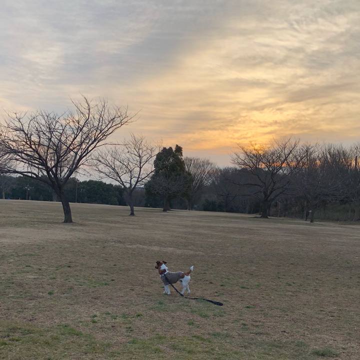 B718d040 0350 4e43 ace3 7232d1feaa96 1519082860206