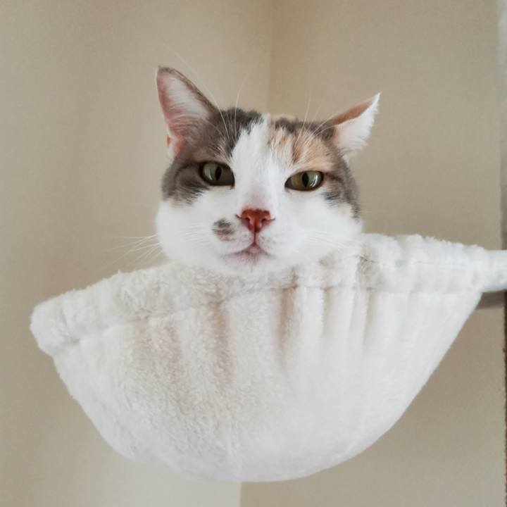 B718d08c c94b 4887 a2ec d1a657911f1f 1628566022844