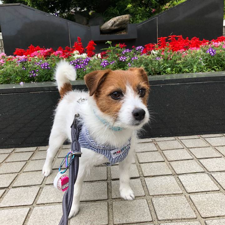 B719010c f8f4 4740 8e5a a8411de83b25 1526160229956