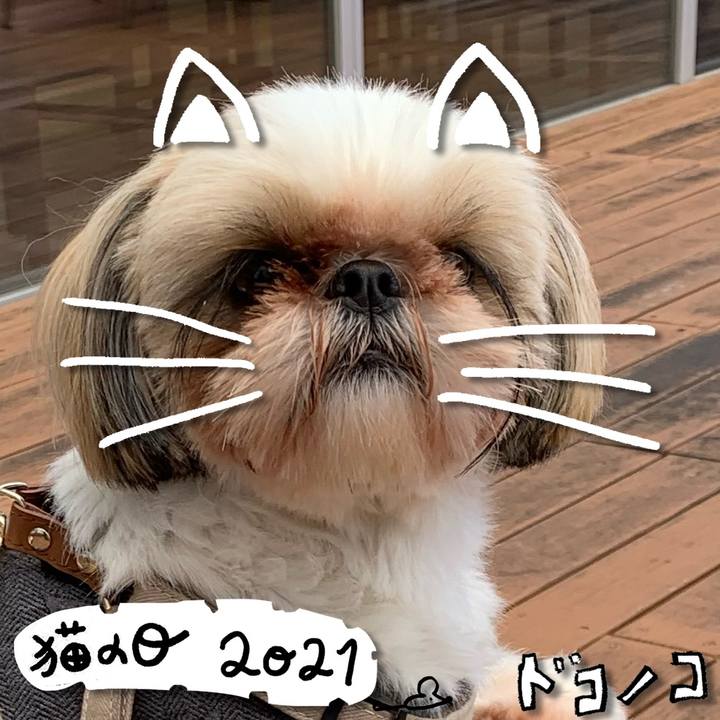 B71951a1 3958 4aa6 84a6 32ae3cd6807a 1614034118386