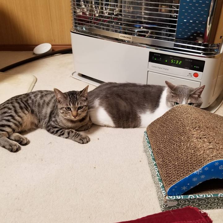 B7195310 3850 40f2 af48 1e532a7c71a6 1675948644119