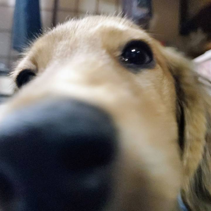 B719643e 8000 4dec 8af7 94f8f3f847b8 1766840035043