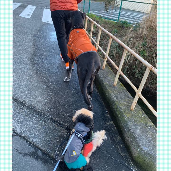 B719964d 61ce 48cb 8abb 5c423df368f1 1582417443911