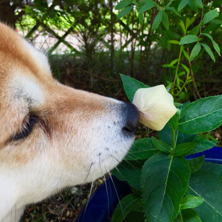 B719c06f b6dd 42f0 ad9a 67f3193b1def 1530015549013