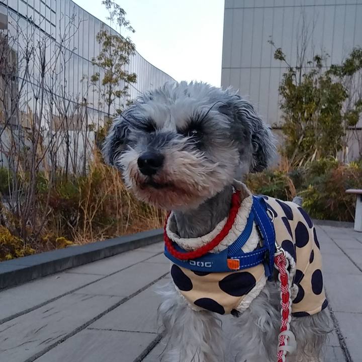 B71a00a6 3cd6 448f 8523 6a8837169788 1644360748211