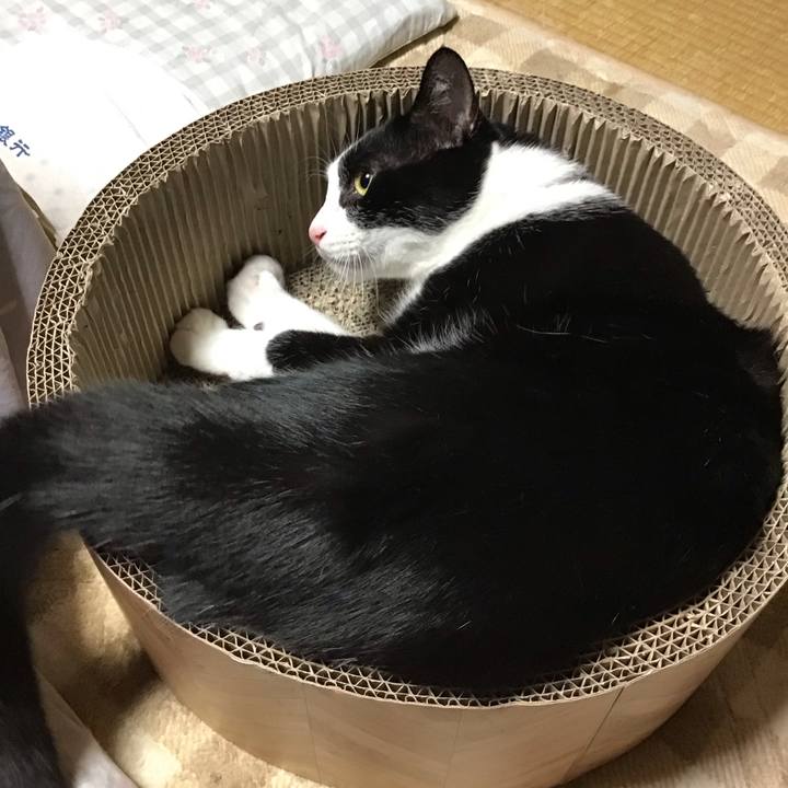 B71a0fa8 00d9 4751 9c5a 15779ffded4e 1699522852950