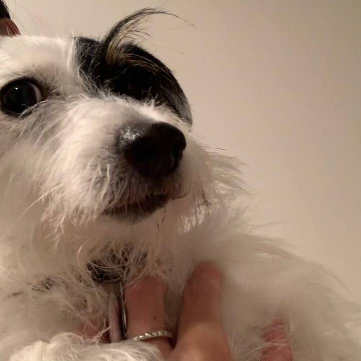 B71ab984 f96c 4d04 bc47 f521c10a2844 1661346009296