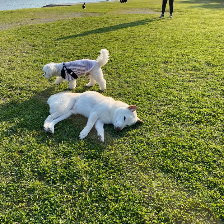 B71ae65a 7dd6 434f 9e9f 1b560cb2ee9c 1651575722594