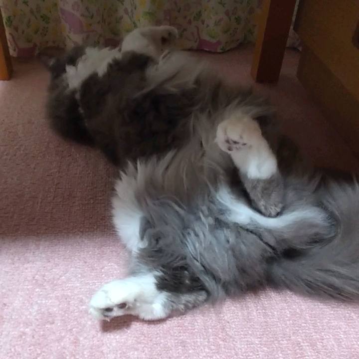 B71ae6c5 7504 4fa5 920f c7ff6fdbdd56 1654318604670