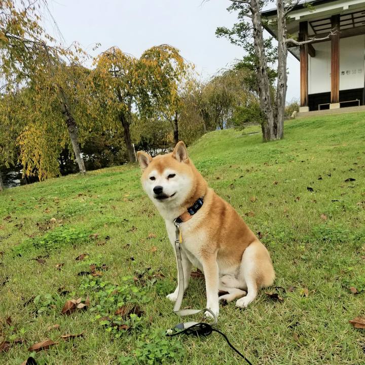 B71afddf f269 49fa 8c8b 34e88dc97a8f 1571896592030