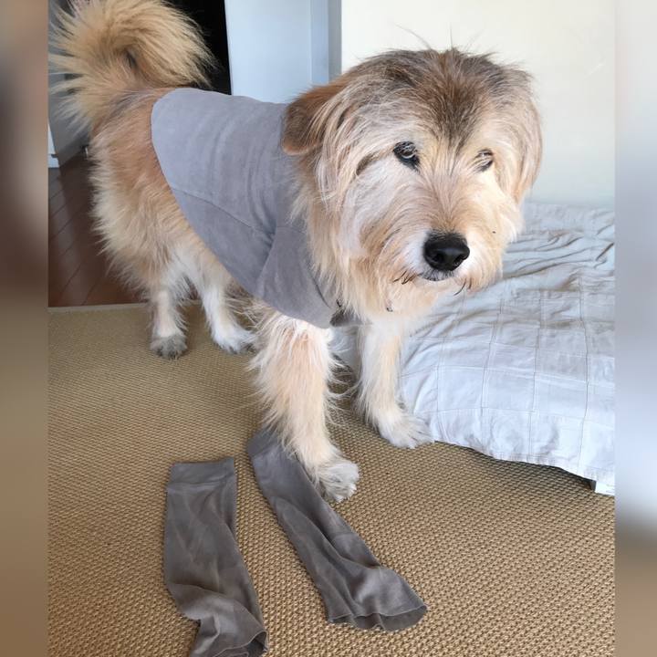 B71b09fa 9dd9 49a9 8e61 bab032f83d53 1645584732628