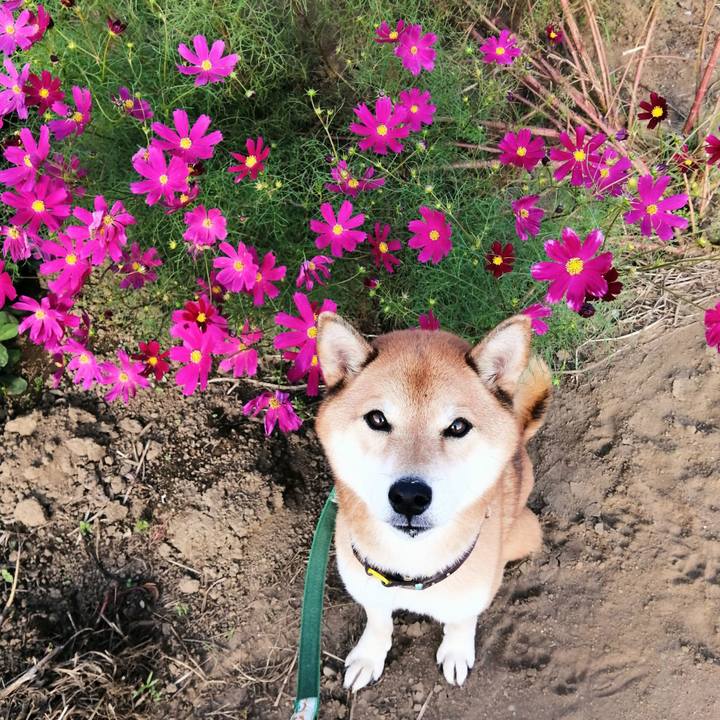 B71b114e 2cd6 4993 b09a 9ad637259fa1 1632900460042