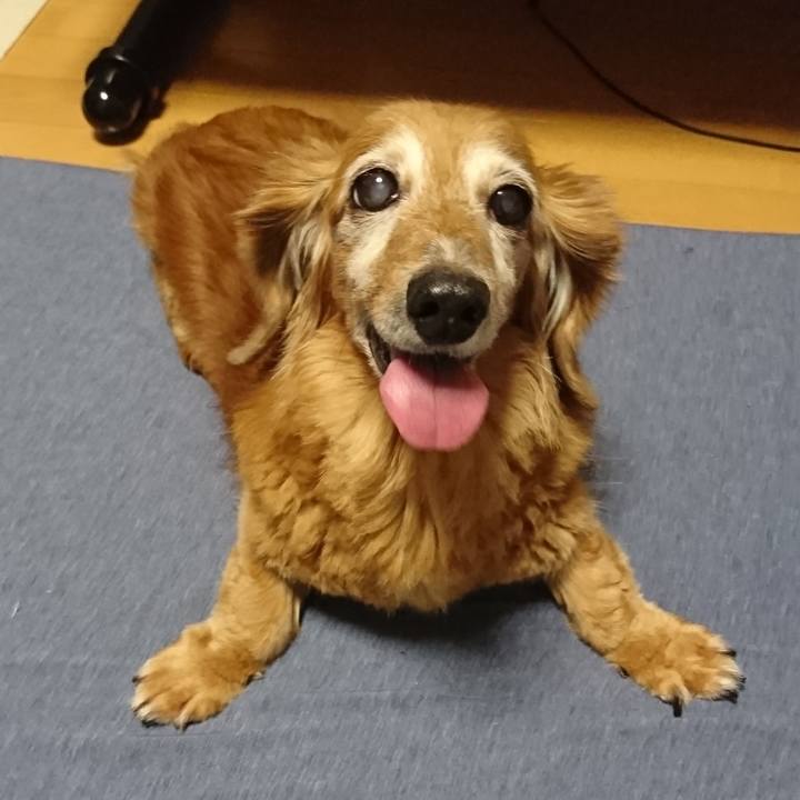 B71b18e3 ed86 4299 9632 873eaf77ef2a 1552933651003