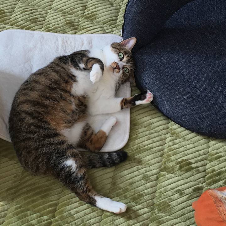 B71b4147 a4c1 4fa4 a05e 60a0d7c09775 1540442310501