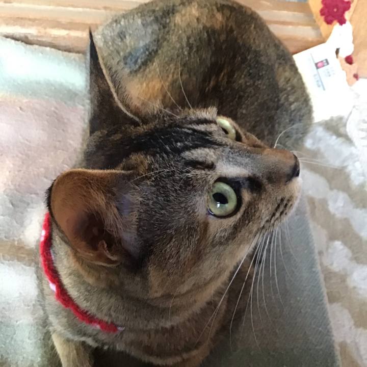 B71b4a0c 58b2 48f2 9109 3231d9c48ca7 1606896197571