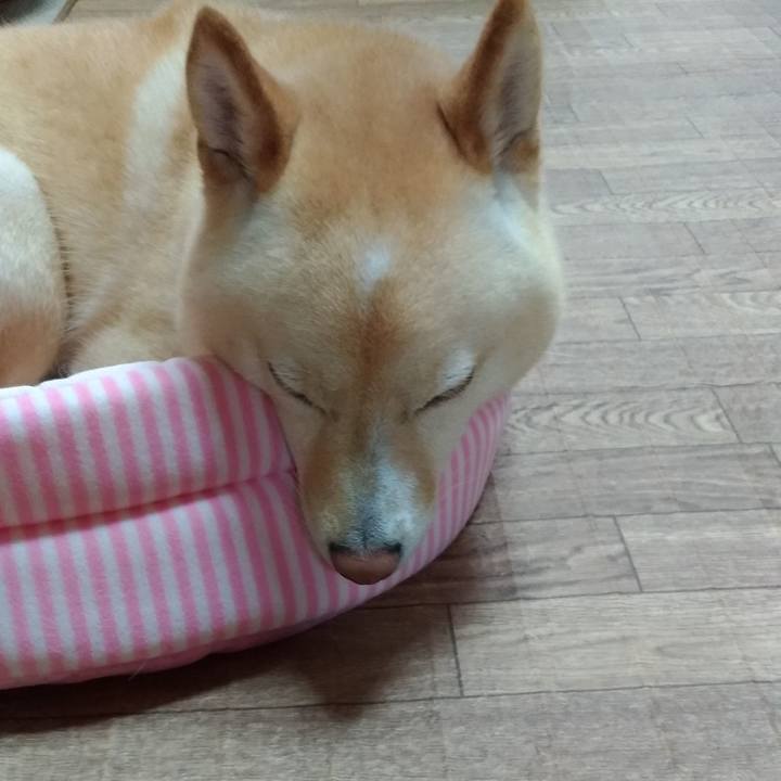 B71b8c90 6df5 4e27 96b0 5dc842881fc1 1592813855883