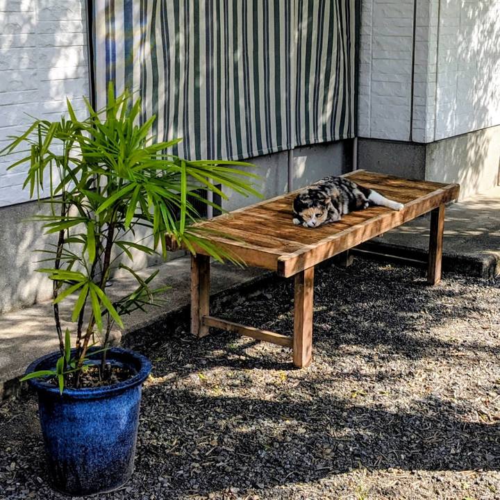 B71bab17 4f59 4ee0 b612 1565c301a182 1761881952893