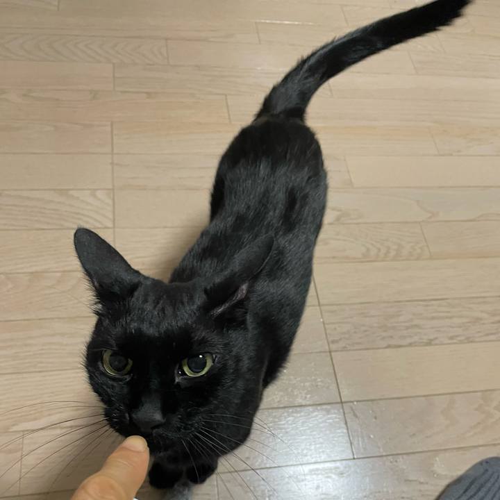 B71bbb84 ea8e 44fc 88b6 88aad0cc1f04 1758283161078