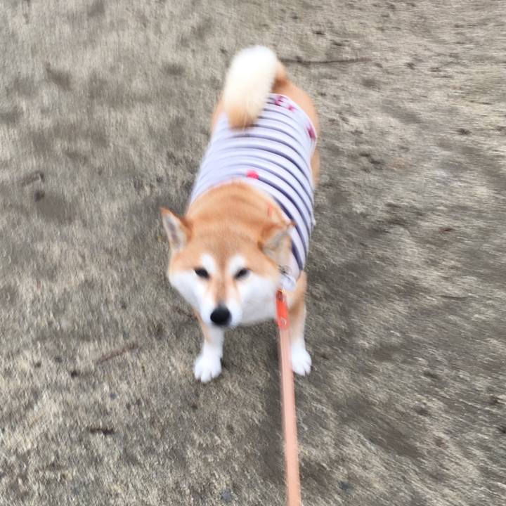 B71bc536 7c3a 4b68 9e18 a38906d83ba3 1563009236632