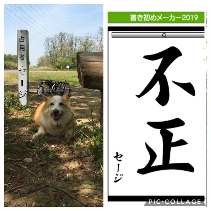 B71be258 7211 4d98 ae6d 676fbe064cac 1585704201815