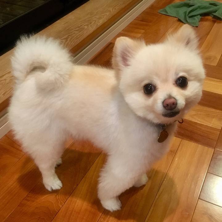 B71be4c3 bd86 4c25 8035 25ff15d40d3e 1555544250949