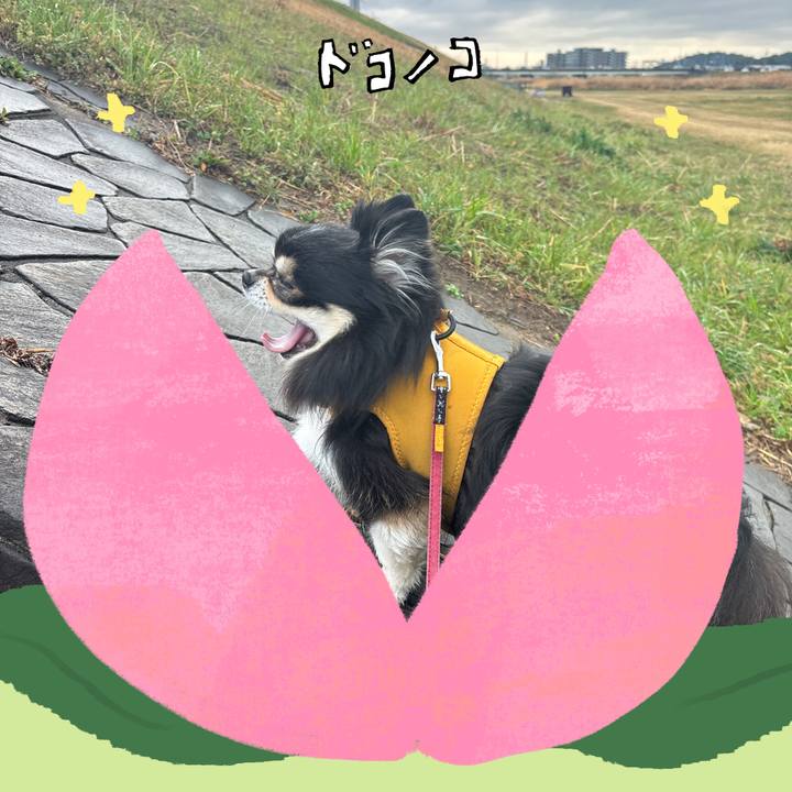 B71be768 fb36 40c8 8f7e dd8a33043cdc 1772007090026