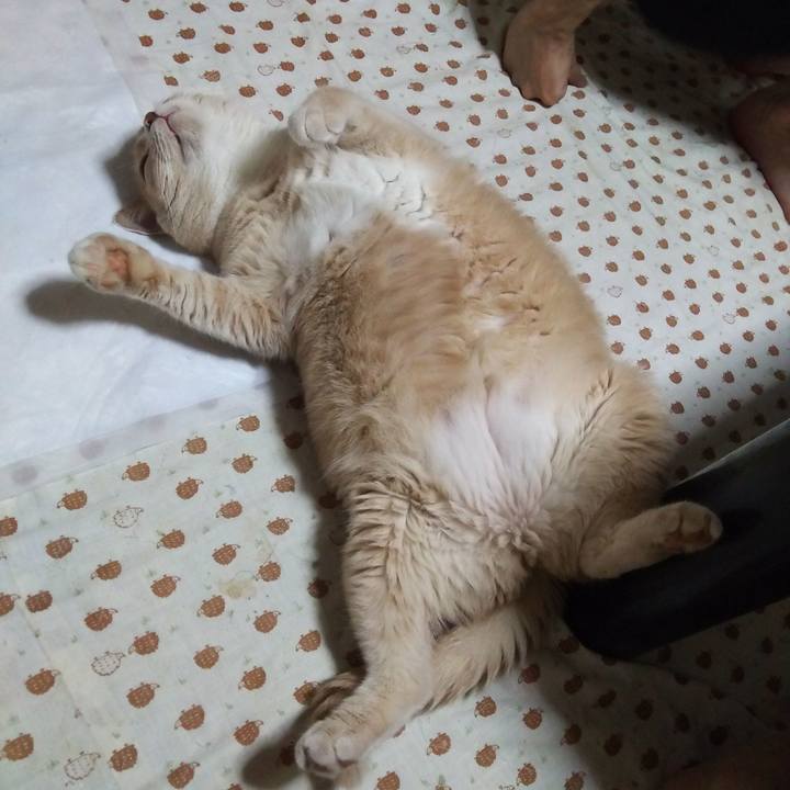 B71c2852 9185 4af3 ae4b 94cd8941b218 1530181927840