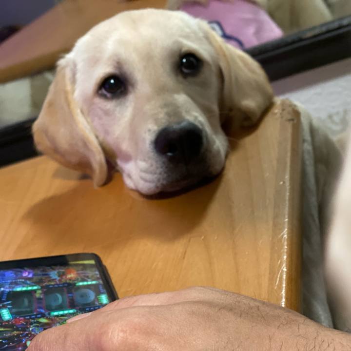 B71c5700 d6f1 4229 a236 9f29d7d3374d 1616909578448