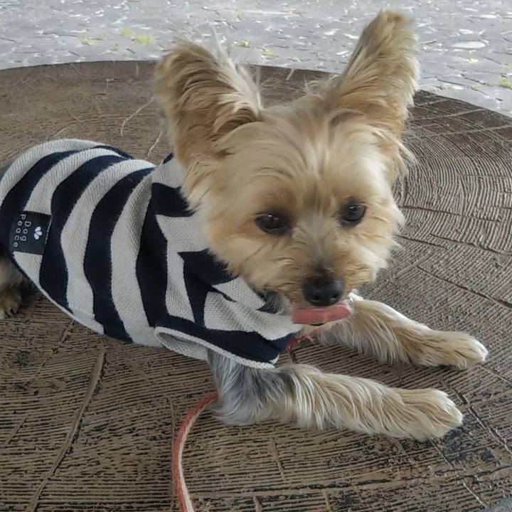 B71c5835 430d 4964 8ac6 42e95cdcfaba 1677755986497