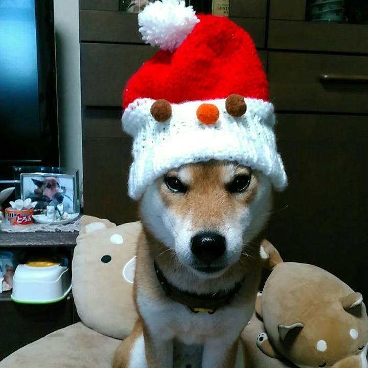 B71c645a b1b9 4c14 9518 0e8a2e8925d3 1544751744317