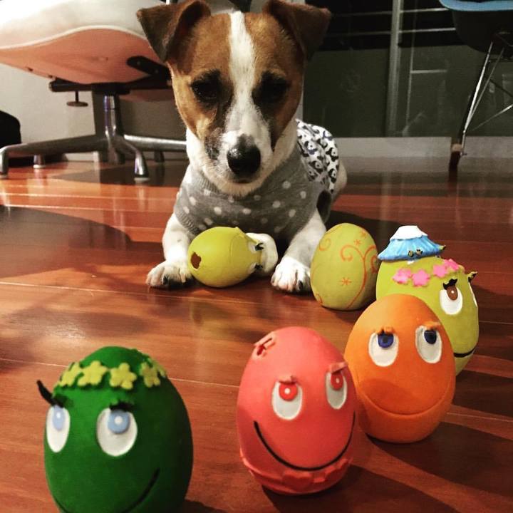 B71c8241 5ae2 4d79 b54b c0c8f4e4cbc1 1684413445534