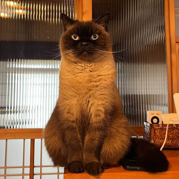 B71cb845 85a9 4f55 a569 bf1a52ccf7c5 1737950547155