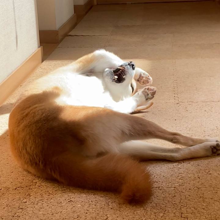 B71cf521 a1ba 43f7 9f64 6e1d6a33067c 1744066564880