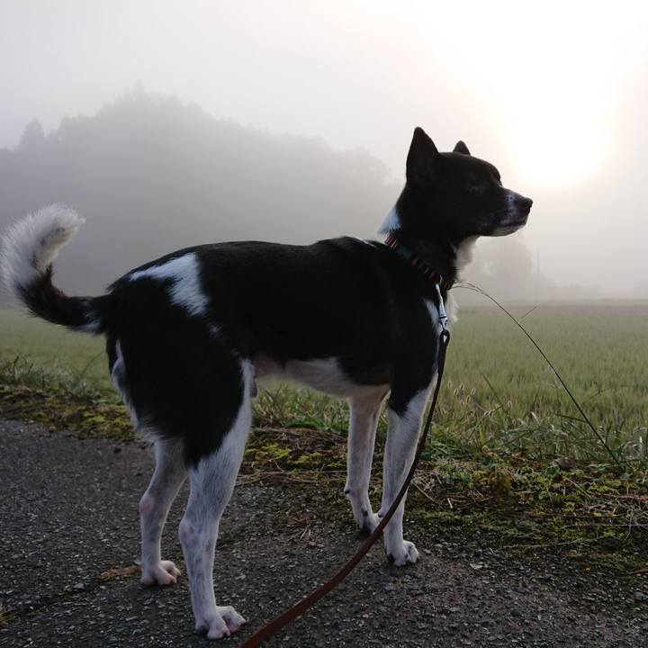 B71d784a 3165 42c8 aa73 c270c7c8c477 1605142571552