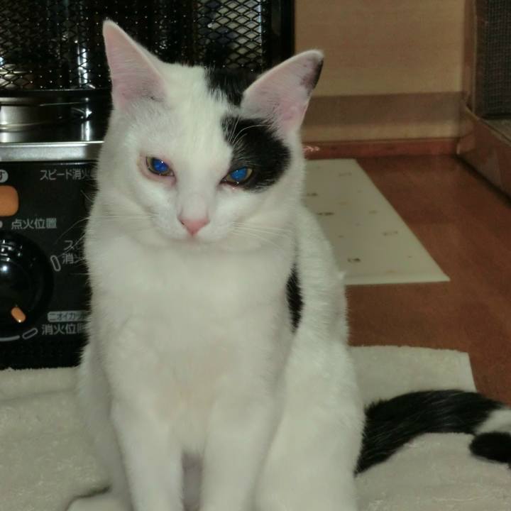 B71d7aa5 aa3b 4559 a239 598e0434bdcd 1525317478545