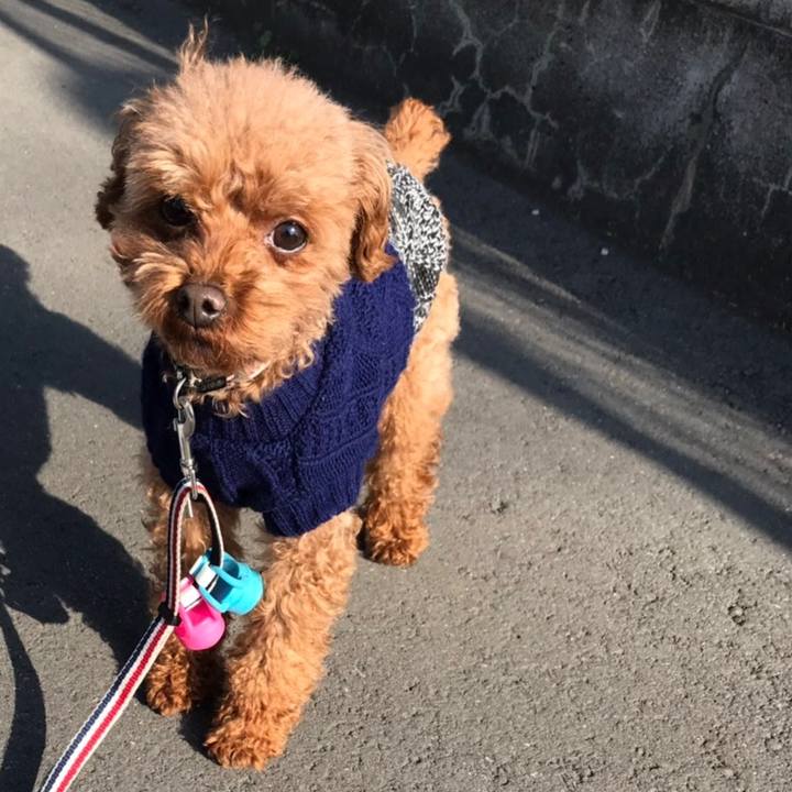 B71da394 54d8 4b8b 8757 56ac00a8f39a 1549538623336