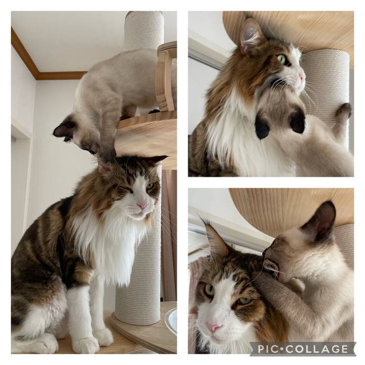 B71e0e4e 785c 45df 9876 20e5e066ec40 1690678202361