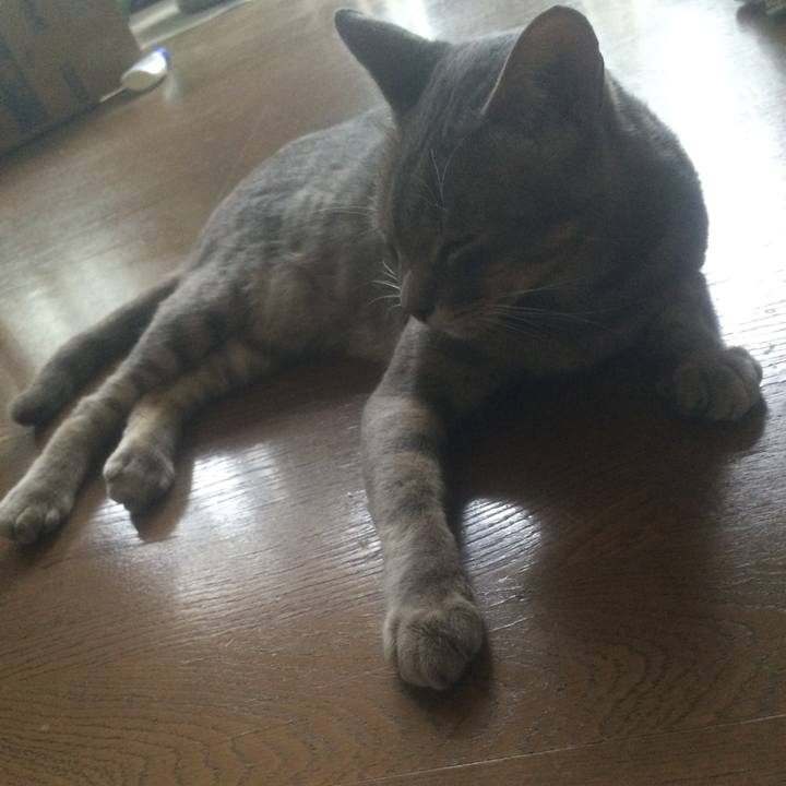 B71e5679 6d44 4bbe 849c 58ff30780998 1531470489246