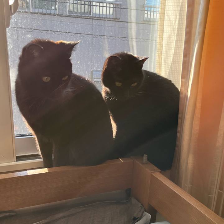 B71e6991 1d8b 458b 96b0 370d81955aff 1643587258430