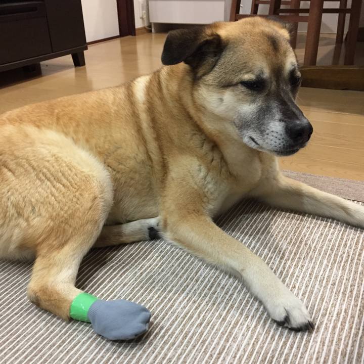 B71ea299 05c7 403e 803e 7784cd369a4c 1526727325702