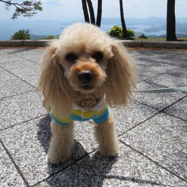 B71ecf1e 76f7 4d2f 9b11 5b5407cdb4c9 1625976279021