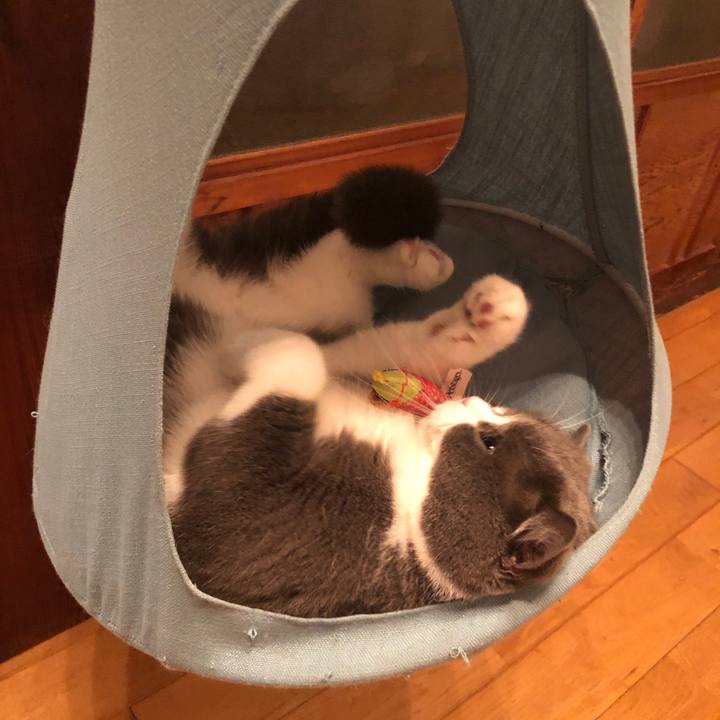 B71ef350 f3f8 48b4 85b4 0e4ba26be07b 1570893155888