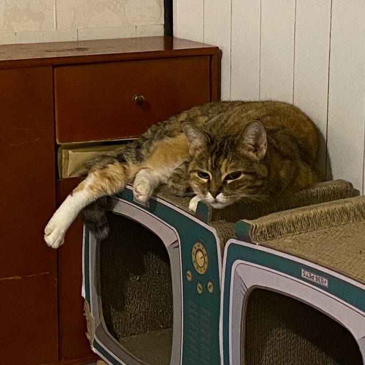 B71efa0b 555e 41a9 a0e7 f014d38e9af5 1661118043758