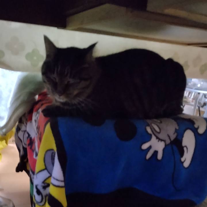 B71f04ac c89f 4a8c 92e9 1567e0052e66 1667043674353