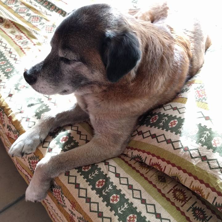 B71f1437 304c 4aeb acfc a597121ea18d 1517878716832