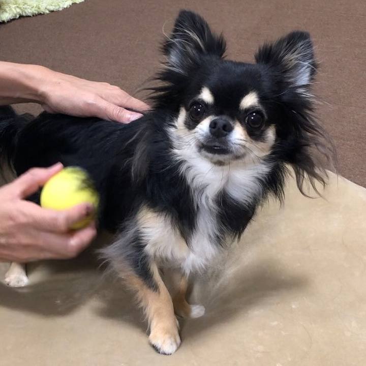 B71f2239 adff 4fc7 8733 ce3a7983f56c 1598956412782