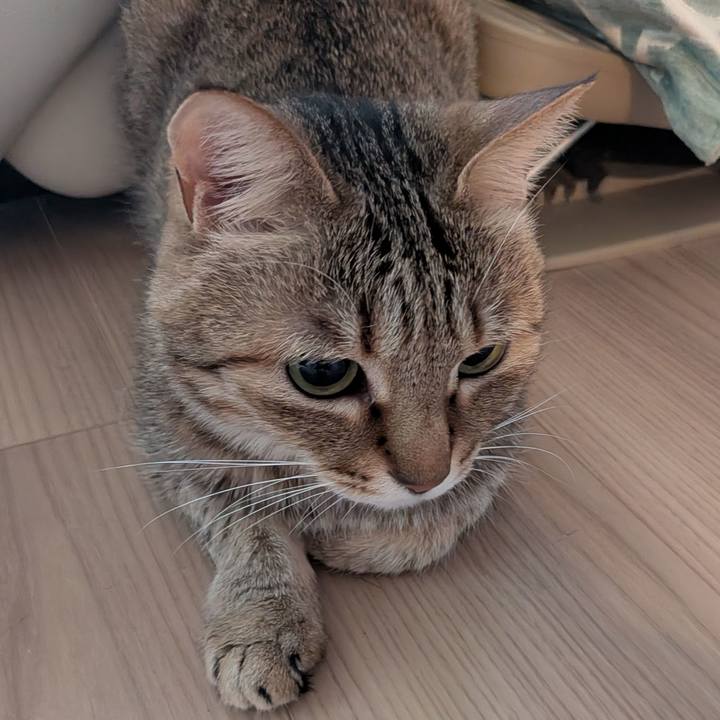 B71f3aaf e0d0 4b24 a446 d41a07b444c6 1774653081862