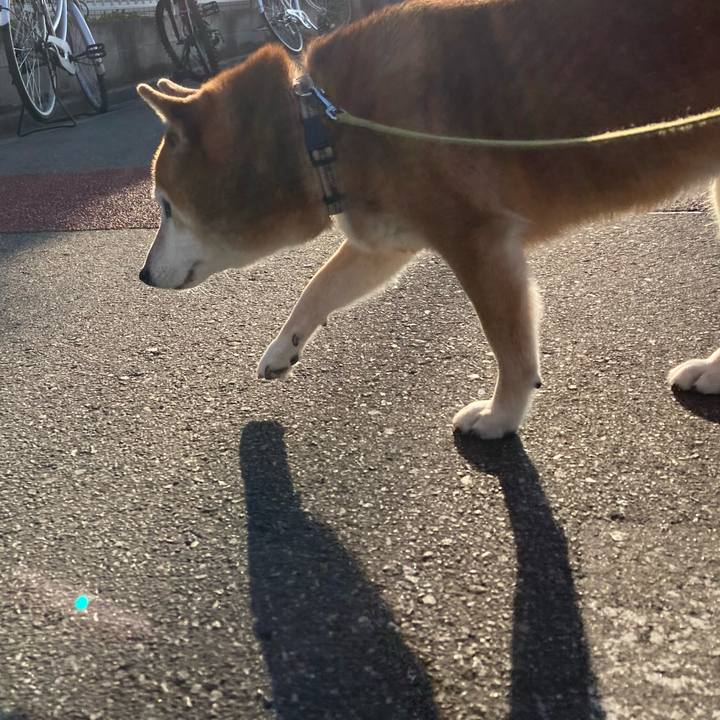 B71f5212 7c31 4877 91fc d5162da792c7 1698827383076